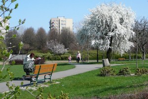 park-wiosna-04